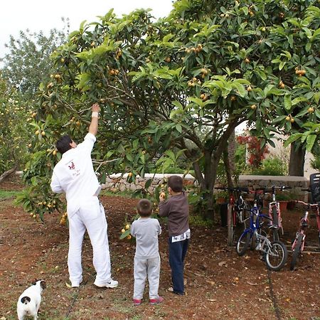 Agroturismo Can Gall Ξενοδοχείο Sant Joan De Labritja Εξωτερικό φωτογραφία