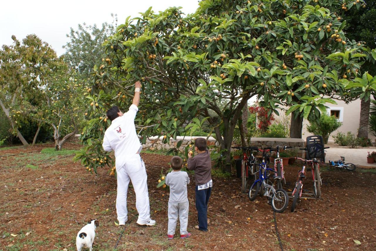 Agroturismo Can Gall Ξενοδοχείο Sant Joan De Labritja Εξωτερικό φωτογραφία