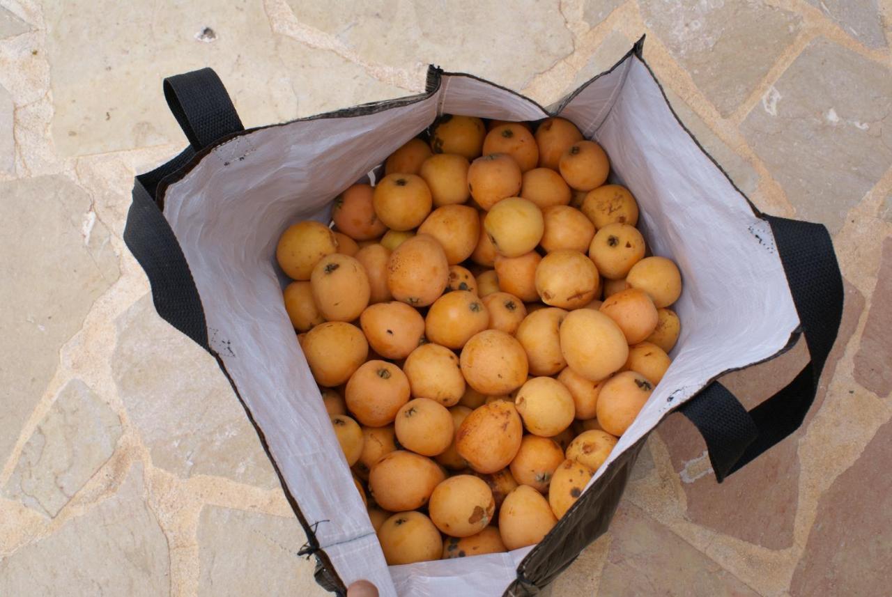 Agroturismo Can Gall Ξενοδοχείο Sant Joan De Labritja Εξωτερικό φωτογραφία